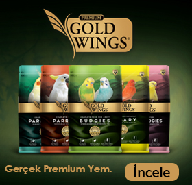 CENTROM EVCİL HAYVAN ÜRÜNLERİ SANAYİ VE TİCARET LİMİTED ŞİRKETİ Resim - 4