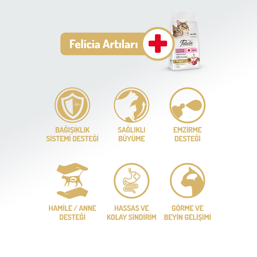 Felicia 12 Kg Kolajenli Kuzulu Az Tahıllı Yavru Kedi Maması HypoAllergenic Kedi Maması