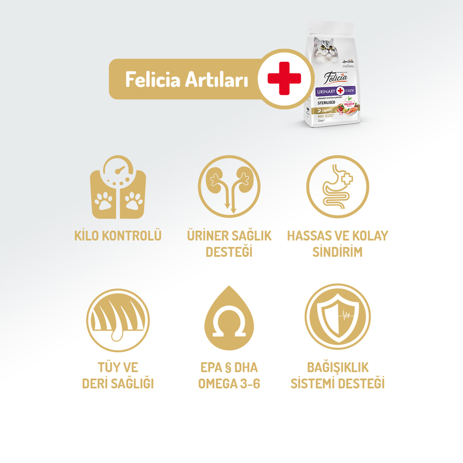 Felicia 12 Kg Kolajenli Somonlu Az Tahıllı Kısırlaştırılmış Kedi Maması  HypoAllergenic Kedi Maması