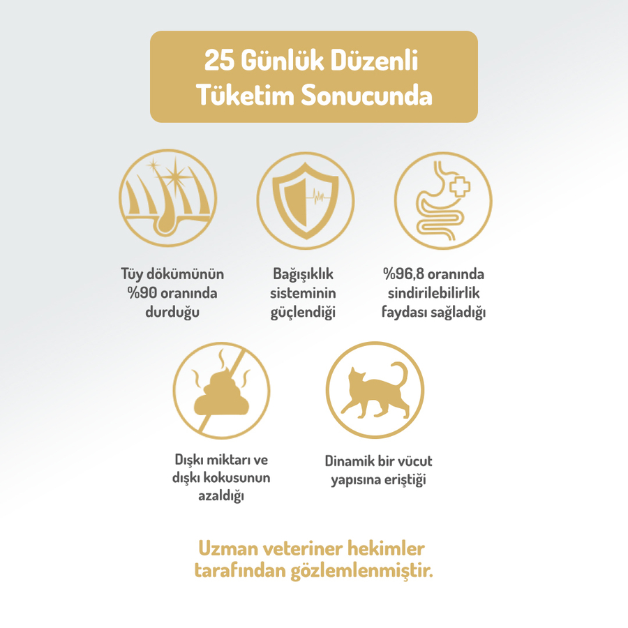 Felicia 12 Kg Kolajenli Somonlu Az Tahıllı Yetişkin Kedi Maması HypoAllergenic Kedi Maması