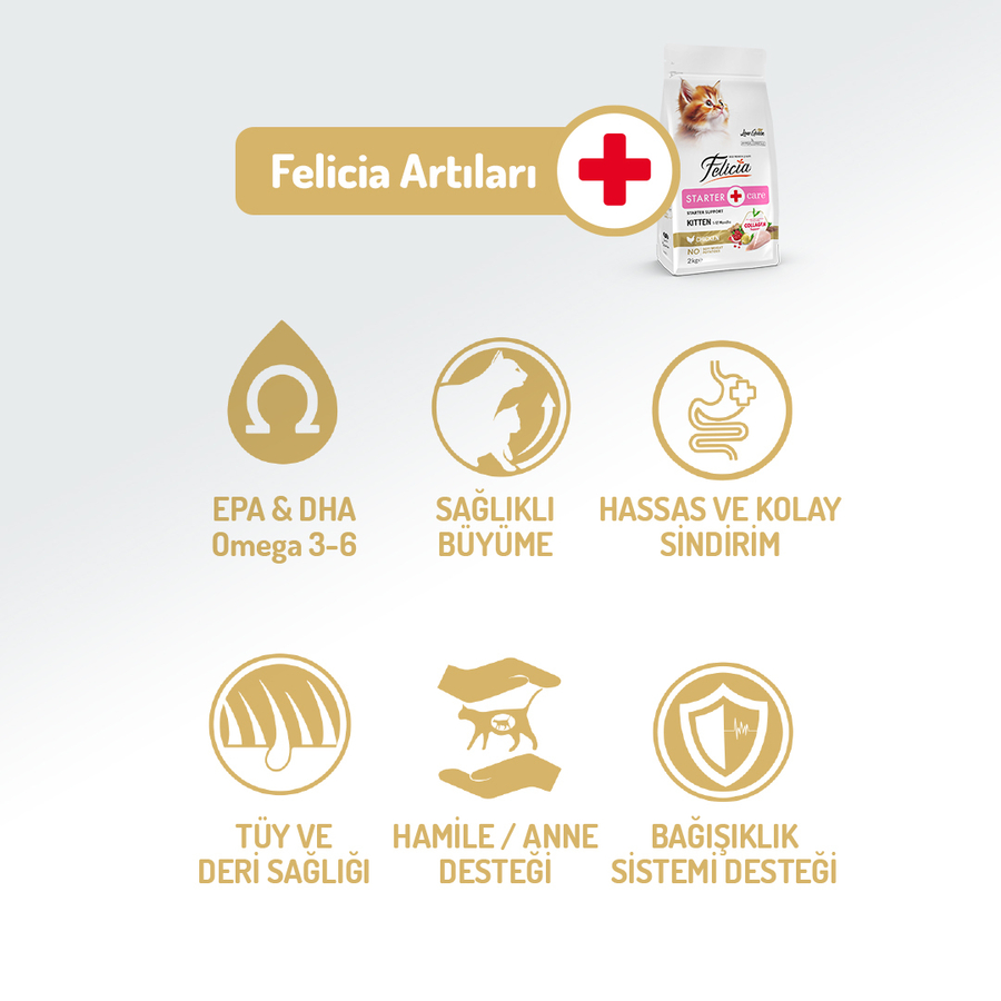 Felicia 12 Kg Kolajenli Tavuklu Az Tahıllı Yavru Kedi Maması HypoAllergenic Kedi Maması
