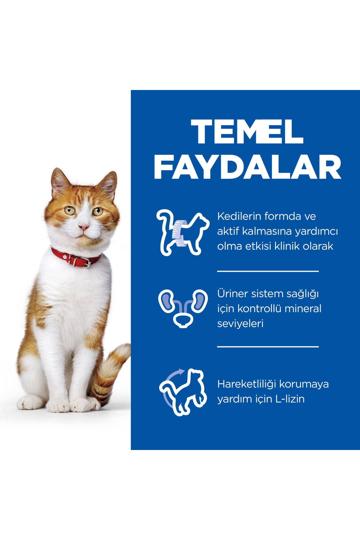 Hill's SP Tavuklu Kısırlaştırılmış Yetişkin Kedi Maması 8+2 KG