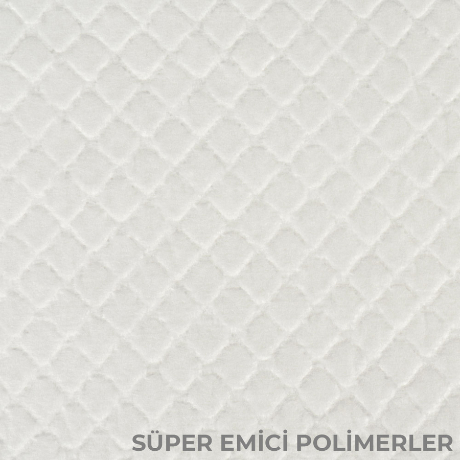 Köpek Tuv.Eğitim Pedi 60x90cm 10+2 Free