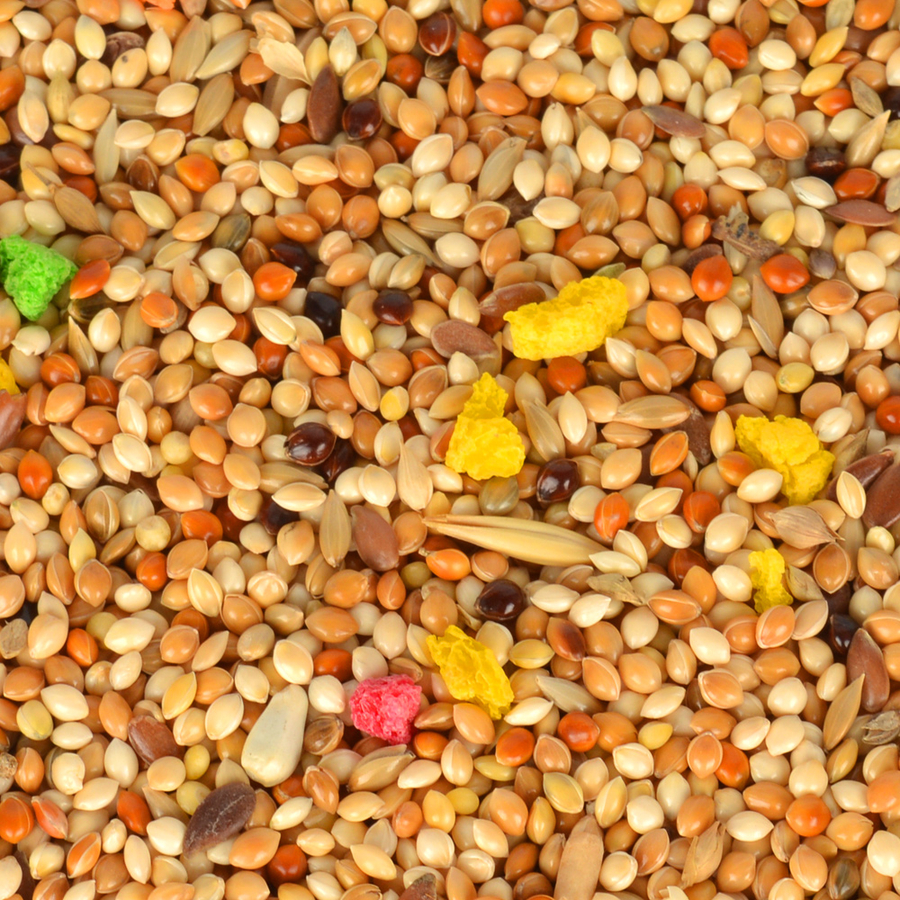 Quik Muhabbet Yemi 400 gr 12'li Quik Muhabbet Yemi 400 gr 12'li