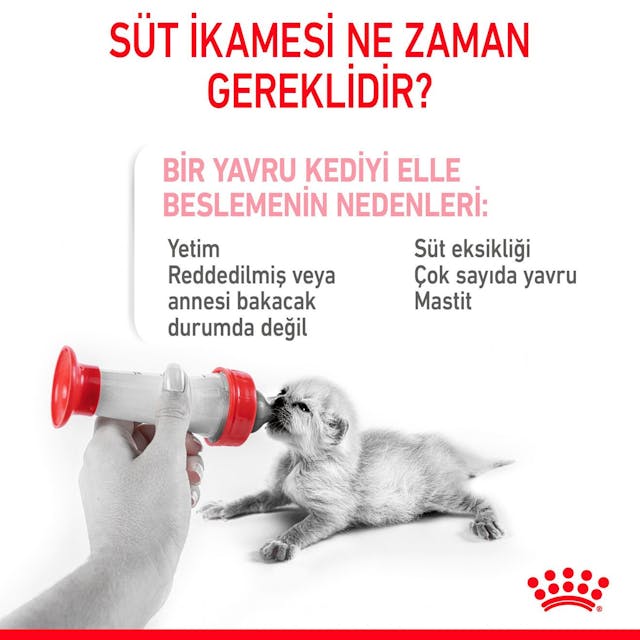 Royal Canin Babydog Milk Yavru Köpek Süt Tozu 400 Gr