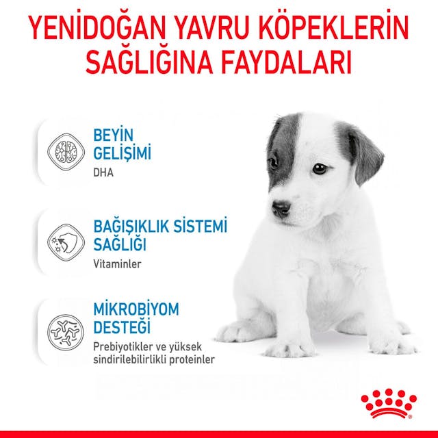 Royal Canin Babydog Milk Yavru Köpek Süt Tozu 400 Gr