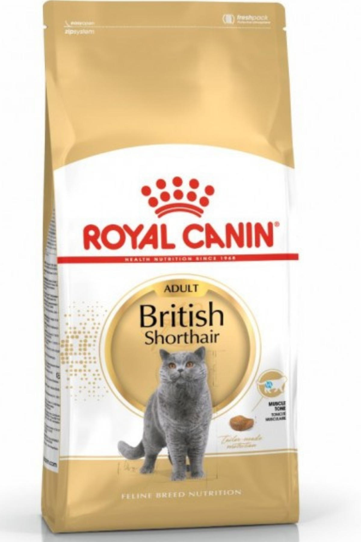 Royal Canin British Shorthair Yetişkin Kedi Maması 10 Kg Kampanyalı Ürün (16 Adet Quik Konserve Hediyeli) Royal Canin British Shorthair Yetişkin Kedi Maması 10 Kg Kampanyalı Ürün (16 Adet Quik Konserve Hediyeli)
