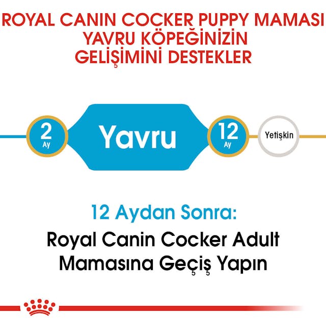 Royal Canin Cocker Puppy Yavru Köpek Maması 3 Kg