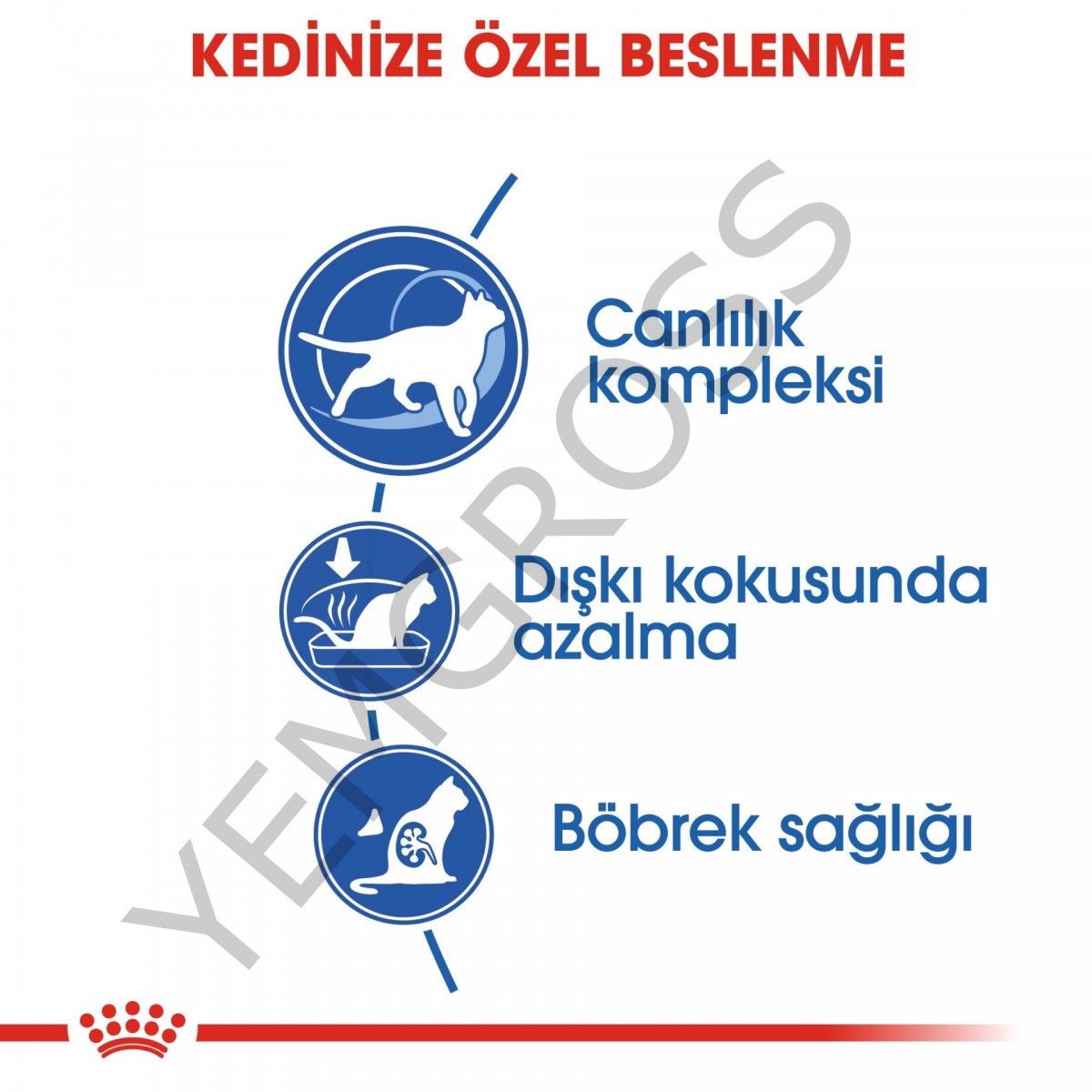 Royal Canin Indoor 7+ Ev Kedileri İçin Yaşlı Kedi Maması 1,5 Kg