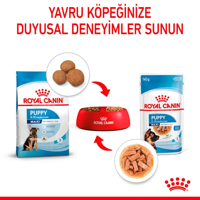 Royal Canin Maxi Puppy Büyük Irk Yavru Köpek Yaş Maması 140 Gr