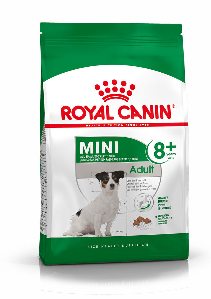 Royal Canin Mini Adult 8+ Küçük Irk Yaşlı Köpek Maması 2 Kg