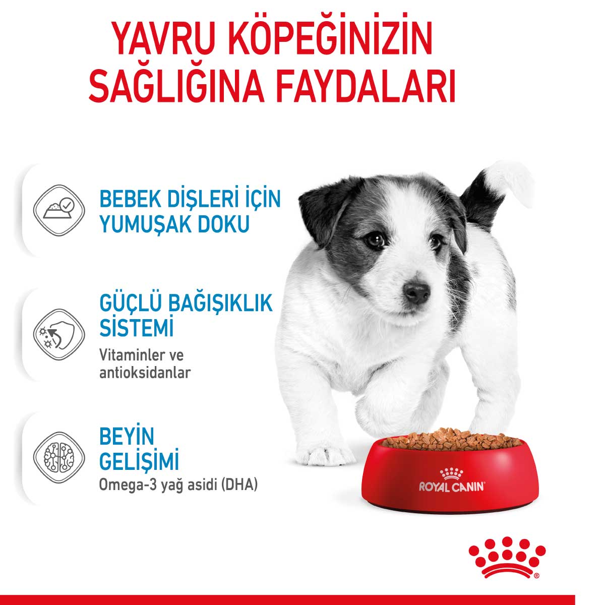 Royal Canin Mini Puppy Küçük Irk Yavru Köpek Yaş Maması 85 Gr