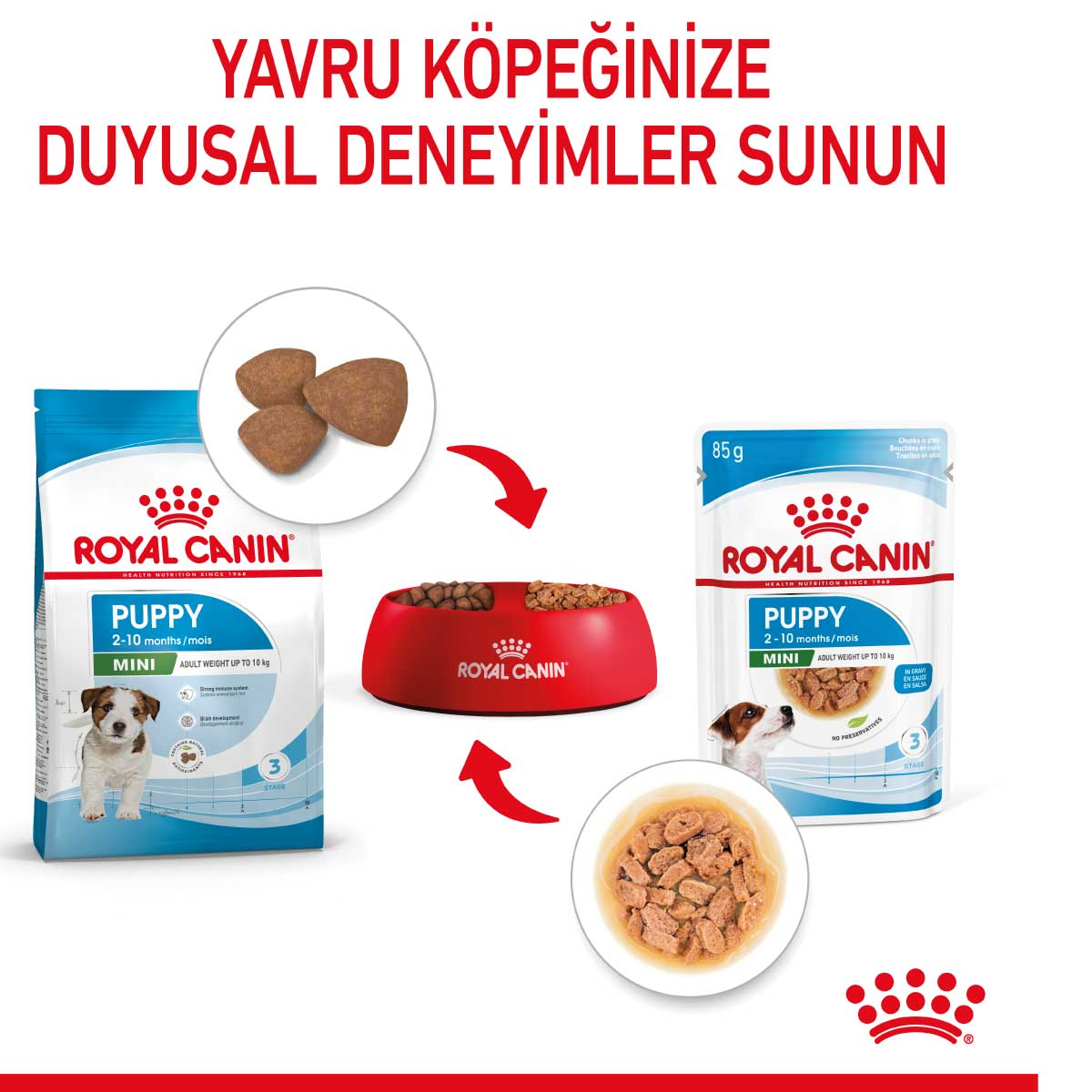 Royal Canin Mini Puppy Küçük Irk Yavru Köpek Yaş Maması 85 Gr
