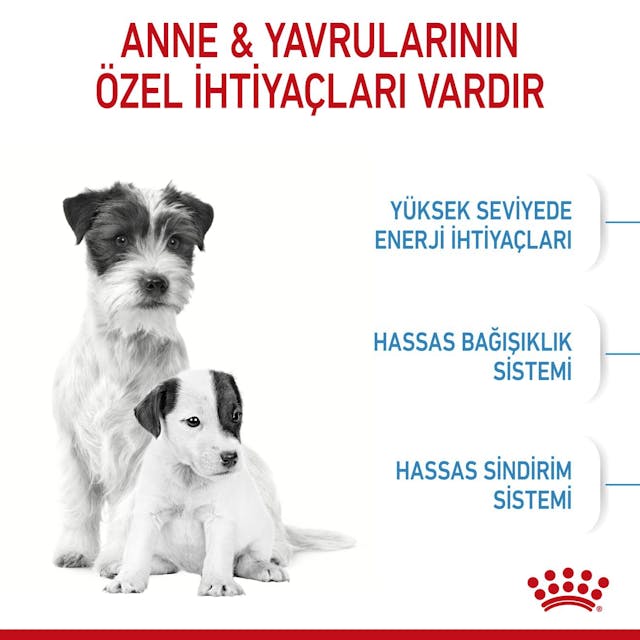 Royal Canin Mini Starter Mother&Babydog Küçük Irk Yavru Köpek Maması 4Kg