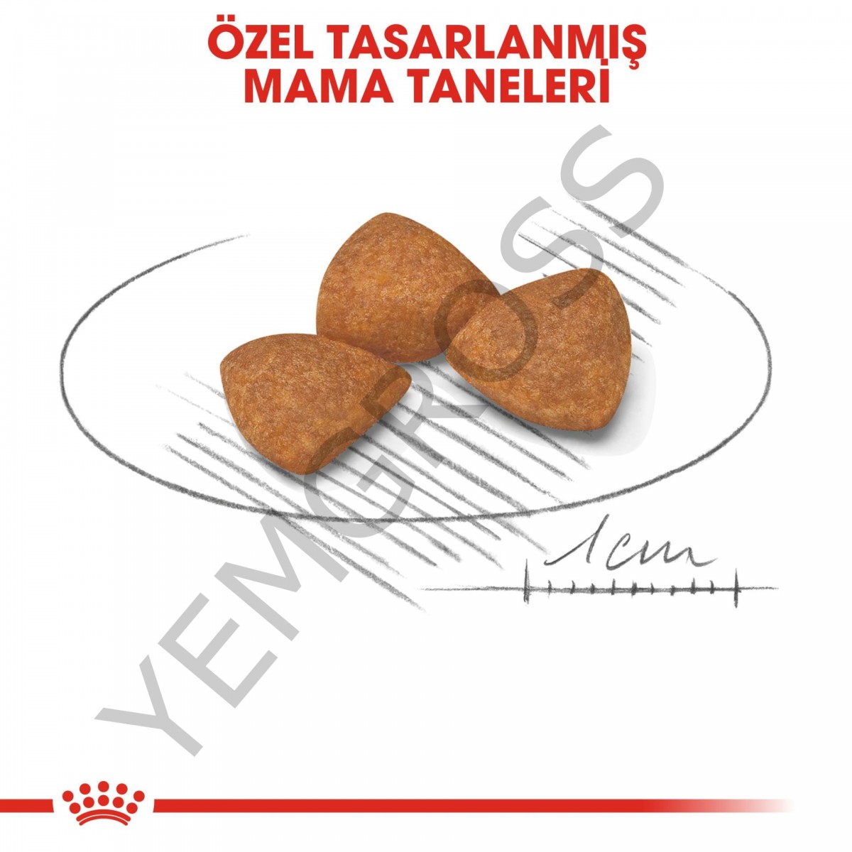 Royal Canin X-Small Ageing 12+ Küçük Irk Yaşlı Köpek Maması 1,5 Kg