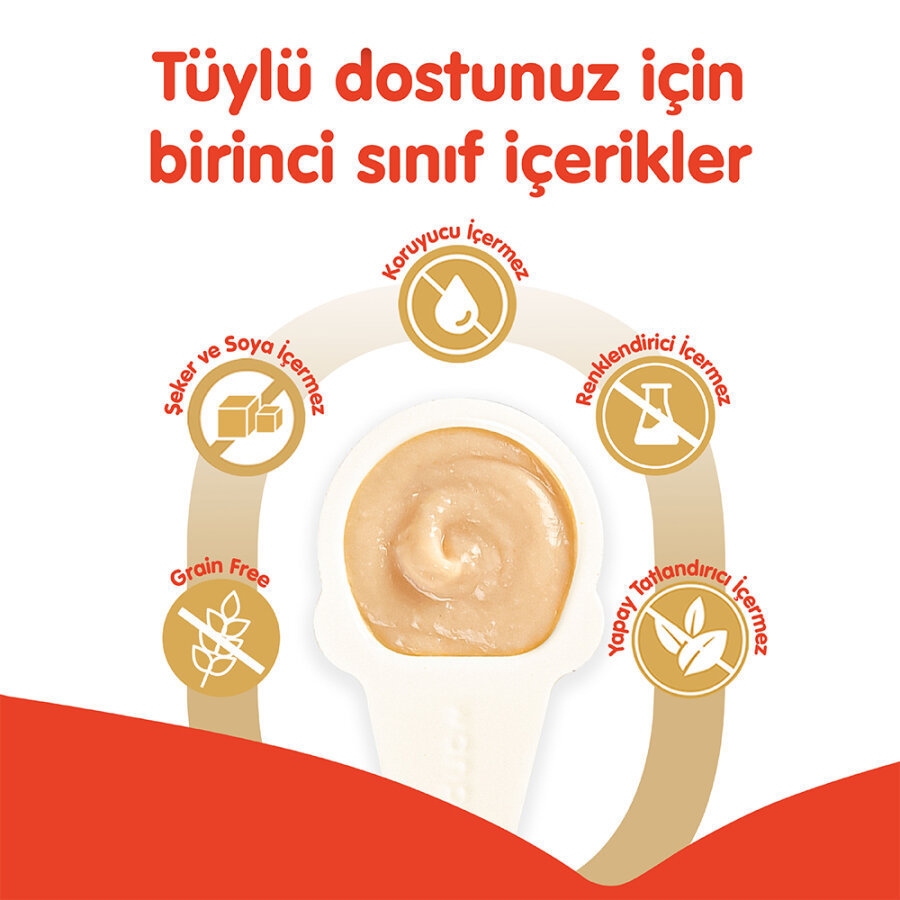 Wanpy Tavuklu 10*16 gr Kaşıklı Kedi Ödül Kreması Wanpy Tavuklu 10*16 gr Kaşıklı Kedi Ödül Kreması