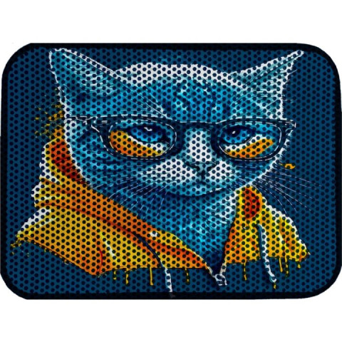 Baskılı Kedi Paspası 40*60