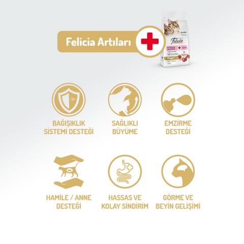 Felicia 12 Kg Kolajenli Kuzulu Az Tahıllı Yavru Kedi Maması HypoAllergenic Kedi Maması
