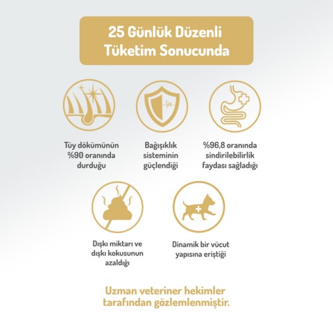 Felicia 3 Kg Kolajenli Somonlu Az Tahıllı Small/Mini Yetişkin Köpek Maması /Mini HypoAllergenic Köpek Maması