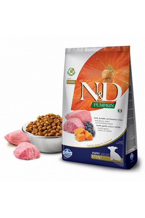 Nd Pumpkin Kuzu Etli Puppy Mini Tahılsız Köpek Maması - 2.5 Kg