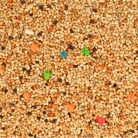 Quik Gurme Muhabbet Yemi 500 gr 12'li