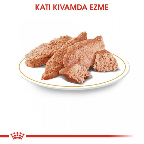 Royal Canin Chihuahua Yetişkin Yaş Köpek Maması 85 gr