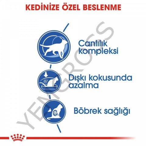 Royal Canin Indoor 7+ Ev Kedileri İçin Yaşlı Kedi Maması 1,5 Kg