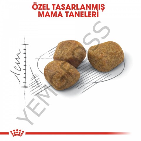 Royal Canin Indoor 7+ Ev Kedileri İçin Yaşlı Kedi Maması 1,5 Kg