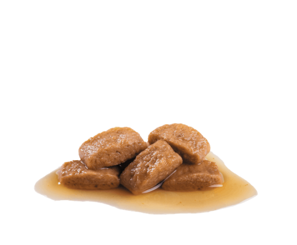 Royal Canin Maxi Adult Büyük Irklar için Yaş Köpek Maması 140 Gr