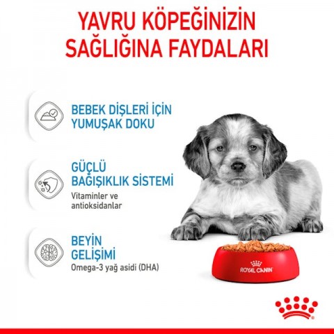 Royal Canin Medium Puppy Orta Irk Yavru Köpek Yaş Maması 140 Gr
