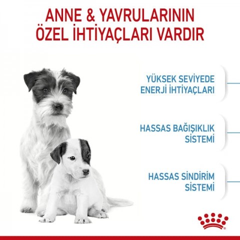 Royal Canin Mini Starter Mother&Babydog Küçük Irk Yavru Köpek Maması 4Kg