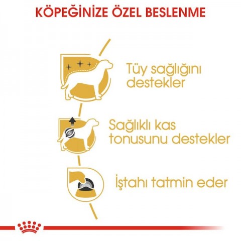 Royal Canin Poodle Yaş Köpek Maması 85 Gr