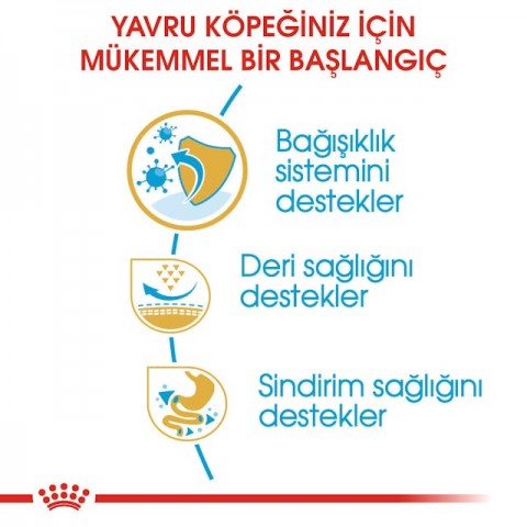 Royal Canin Pug Puppy Yavru Köpek Maması 1,5 Kg