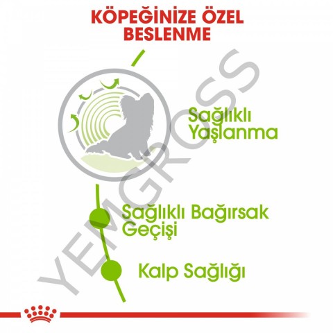 Royal Canin X-Small Ageing 12+ Küçük Irk Yaşlı Köpek Maması 1,5 Kg