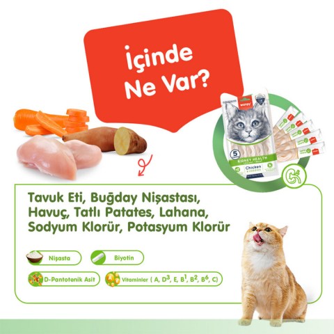 Wanpy Kidney Health Tavuk&Sebze 12'li-F.Krema Ödül 5x14gr